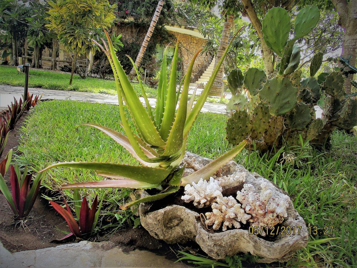 Fortamu Lady D House Watamu Bagian luar foto